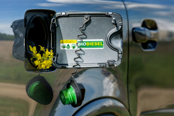 Biodiesel Biodiesel