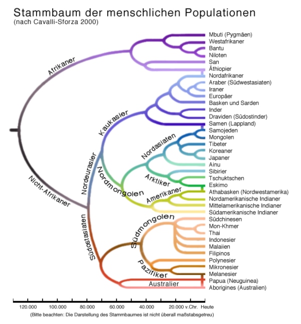 Die Populationen der Menschheit nach Cavalli-Sforza (2000)