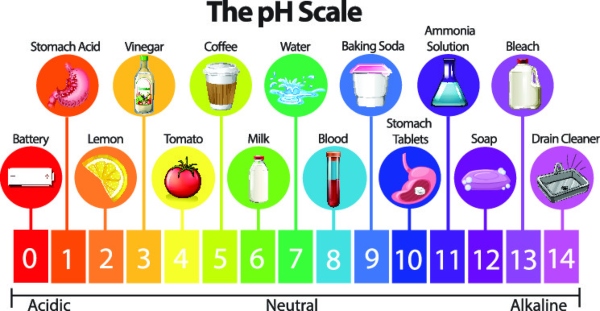 Die wissenschaftliche pH-Skala