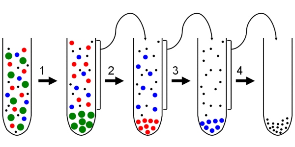 Schematische Darstellung der differentiellen Zentrifugation Schematische Darstellung der differentiellen Zentrifugation