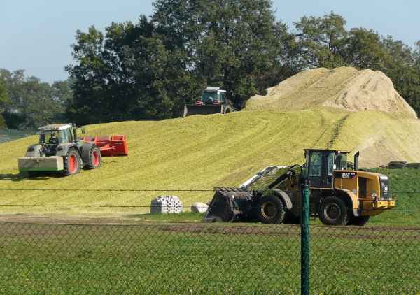 Angehäufte Biomasse einer Biogasanlage bei Hannover Biomassehaufen-Biogasanlage