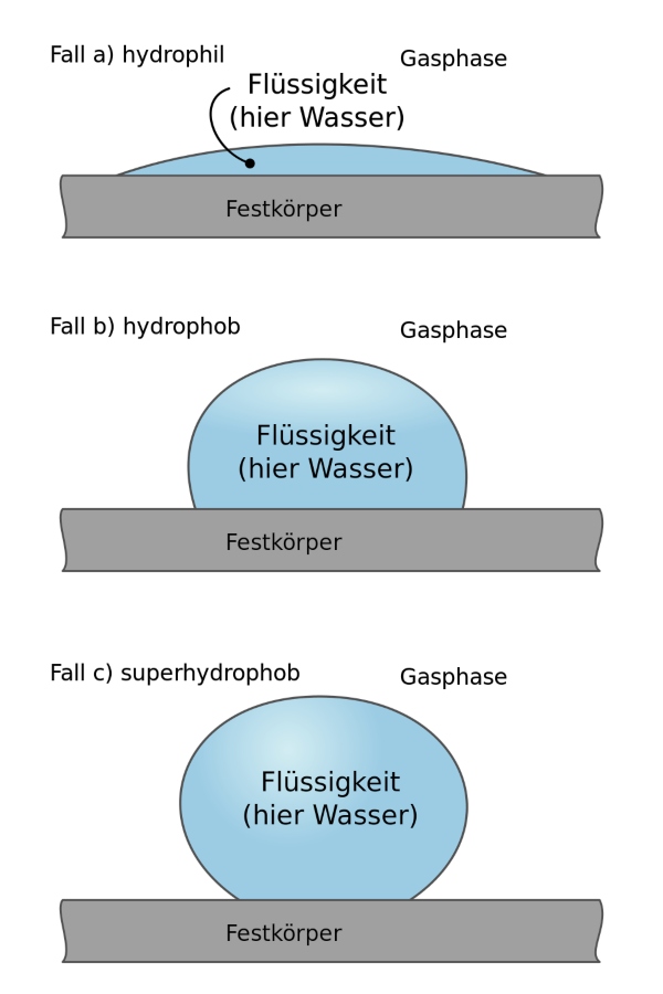Kontaktfläche eines Wassertropfens auf hydrophilen, hydrophoben und superhydrophoben Oberflächen Kontaktflaeche eines Wassertropfens auf Oberflaechen lotoseffekt
