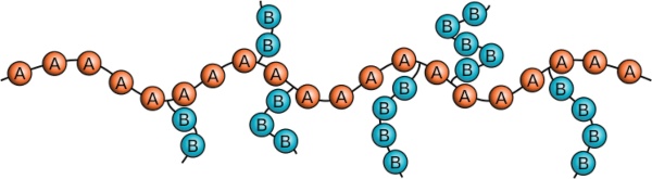 Schematische Darstellung eines Pfropfcopolymers mit Hauptkette aus dem Monomertyp A und Seitenketten des Monomertyps B