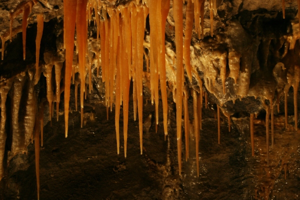Haengende Stalaktiten in der englischen Treak Cliff Cavern kalk-naturstoff