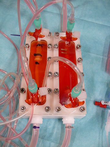 Bioreaktorsystem zur Gefäßprothesenkultivierung Bioreaktorsystem zur Gefaessprothesenkultivierung tissue-engineering