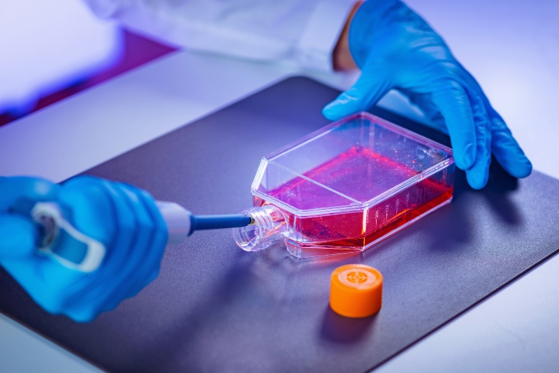 Tissue Engineering RCT Magazin