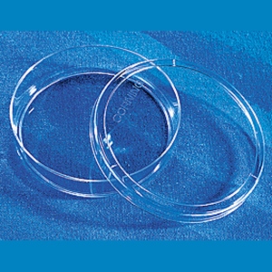 Zellkultur-Petrischale aus PS zellkultur-petrischale-aus-ps