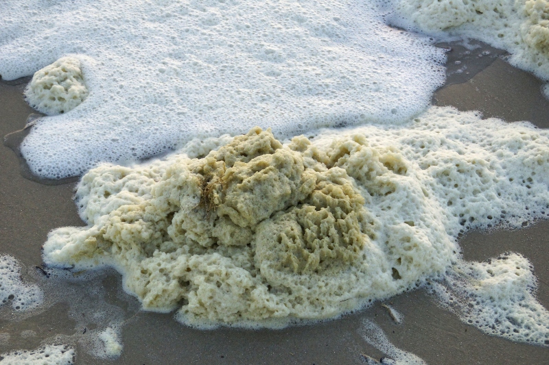 Das verzweigte anionische Tensid TPS ist biologisch nur schlecht abbaubar und wurde bereits in den 60er Jahren durch lineare Alkylbenzolsulfonate ersetzt Das verzweigte anionische Tensid TPS ist biologisch nur schlecht abbaubar und wurde bereits in den 60er Jahren durch lineare Alkylbenzolsulfonate ersetzt