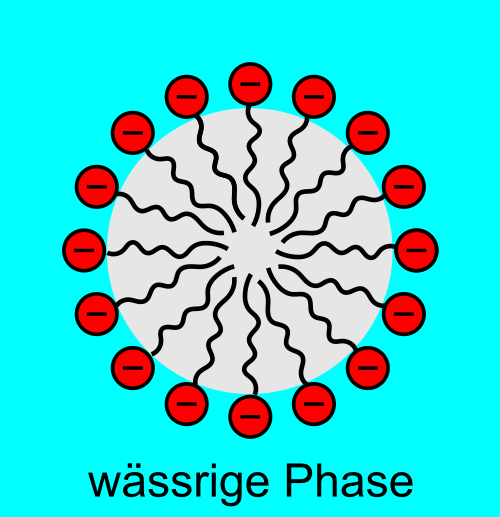 Mizelle in einer Tensidloesung Synthetische Tenside