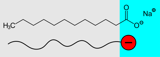 Natriumlaurinat: Hydrophober Alkylrest (grau) und hydrophile Carboxylatgruppe (blau) Natriumlaurinat Hydrophober Alkylrest grau und hydrophile Carboxylatgruppe blau Synthetische Tenside