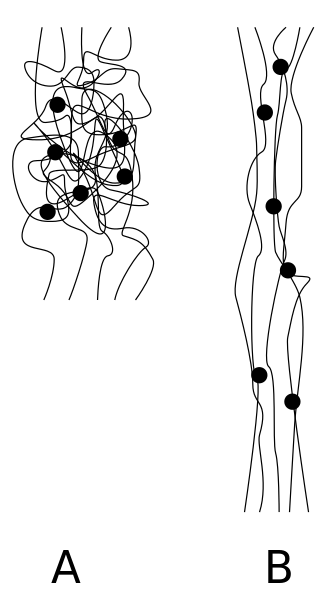 Die Polymerketten von Elastomeren sind zwar kovalent vernetzt, jedoch nur sehr weitmaschig (A) - Bei Einwirken von Zugkräften können sie elastisch gestreckt werden (B) Polymerketten von Elastomeren