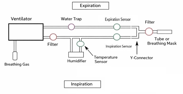 Dual-limb system schematic representation Dual-limb system schematic representation