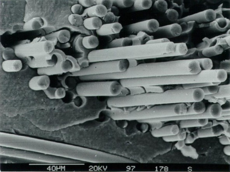 Bruchfläche einer faserverstärkten Keramik mit Siliciumcarbid-Fasern und Matrix.