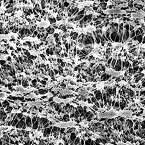 Rundfilter aus PTFE - gesintert rundfilter-aus-ptfe-gesintert