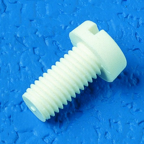 Slotted Cheese Head Screw (DIN 84) made of PTFE