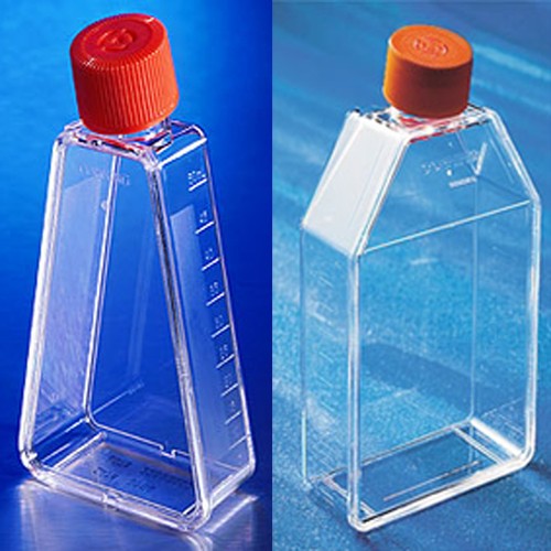 Cell Culture Flask made of PS