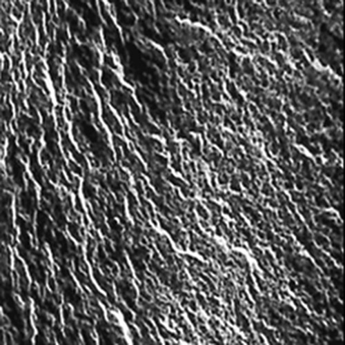 Cation-Exchange Membrane for Base Dialysis