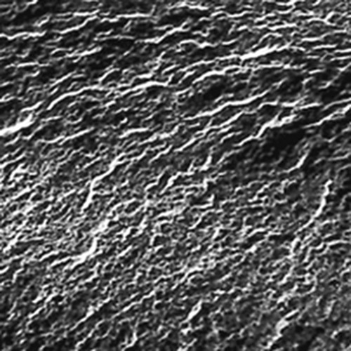 Anion-Exchange Membrane for Electrodialysis Anion-Exchange Membrane for Electrodialysis
