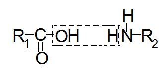 chem-Formel-ARAMIDE-3-Aminogruppe-Carboxylgruppe568e595529415